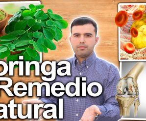 SECRETOS DE LA MORINGA – Para Que Sirve, Contraindicaciones Y Como Tomarla