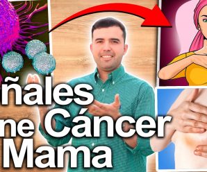 Esto Indica Cáncer De Pecho O Mama – Signos Y Síntomas De Cancer De Seno Que Debes Conocer