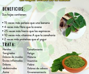 El árbol de la moringa, un súper héroe de la salud