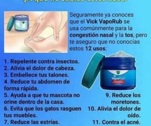 Beneficios que otorga el vick vaporub a tu cuerpo que desconocías.