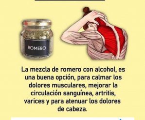 Cómo preparar alcohol de romero para tratar el dolor articular, lumbalgia, celulitis, las varices y más