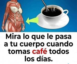 Datos que posiblemente desconozcas del café