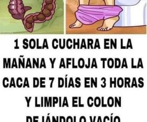 Limpieza para desechos en el colon.