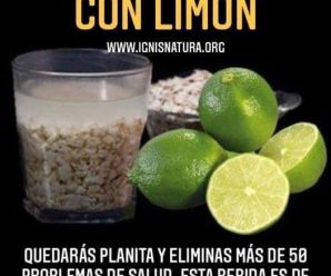 Agua de avena con limon