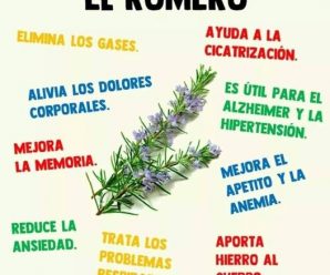 Mezcla Romero con estos ingredientes: Regenera cartílagos y más