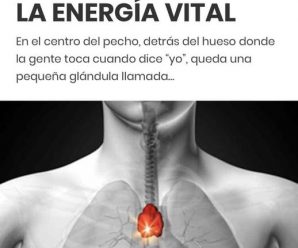 Cómo Activar la Glándula Timo para Liberar Emociones Atrapadas