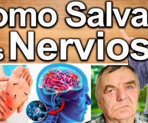 SALVA TUS NERVIOS Y Revierte El Daño Nervioso o Neuropatia 100%