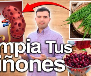 Limpieza De Riñones – Limpia Tus Riñones En Una Semana – Cómo Desintoxicar Los Riñones Con Jugos