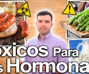 Estos Alimentos Destruyen Tus Hormonas – Alimentos Que Alteran Las Hormonas Y Cómo Revertirlo