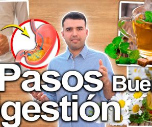 Elimina La Hinchazon De Panza Y Mala Digestion – Como Mejorar La Indigestion Y Gases