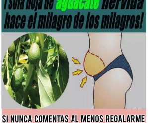 Por qué el Té de Hojas de Aguacate Hace Milagro con Nuestra Salud