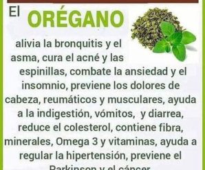 “Combate 15 Problemas de Salud con Orégano: Recetas Naturales y Consejos”