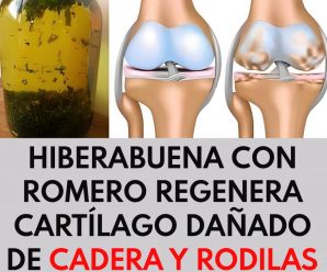 Hierbabuena y Romero: Una combinación natural para aliviar los dolores de rodilla, cartílago y cadera