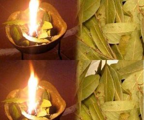 Quema una hoja de laurel en la sala de tu casa y el resultado será impresionante