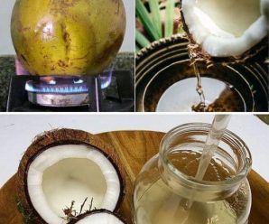 Aceite de coco: aprende a prepararlo en casa y aprovecha sus 20 beneficios para la salud