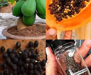 descubre los beneficios de las semillas de papaya