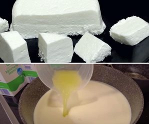 descubre como hacer queso fresco en tu casa con pocos ingredientes muy facil