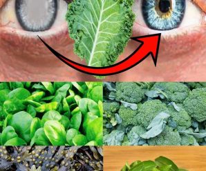 5 hojas esenciales para mejorar la salud ocular de forma natural