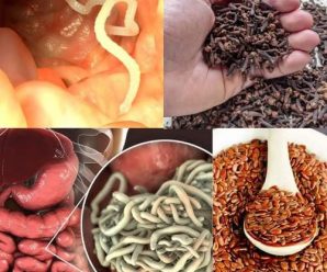 Linaza y Clavo de Olor: Beneficios y Usos para Limpiar el Colon, Eliminar Parásitos y Bajar de Peso