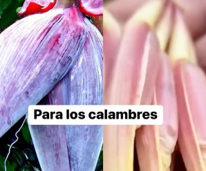 usar flor de platanos para los calambres y mucho mas