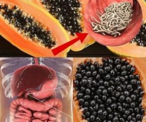 Semillas de Papaya:Eliminar Parásitos, Reducir la Hinchazón Abdominal y Sus 20 Beneficios para la Salud