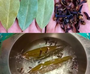 Los sorprendentes beneficios de las hojas de laurel y los clavos hervidos: un elixir natural para el bienestar