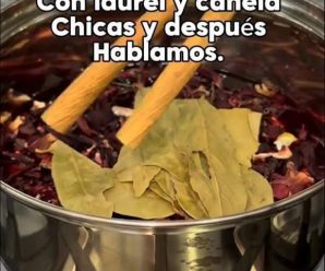 Te presento Jamaica, Canela, hojas de laurel y canela, sus beneficios