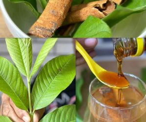 infusion de la abuela canelas hojas de guayaba