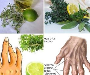 Prepara el tomillo con limón para sanar la artritis en casa sin ir al médico.