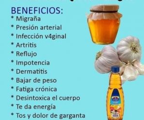Jengibre rallado, cebolla, ajo, jugo de limón y miel.