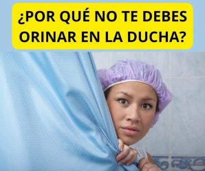 Te contaré lo que pasa si orinas en la ducha.