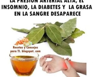 LA HOJA DE LAUREL, UNA BENDICIÓN DE DIOS