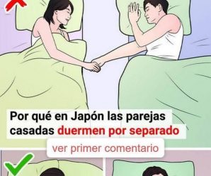 ¿Por Qué las Parejas Casadas en Japón Duermen Por Separado?
