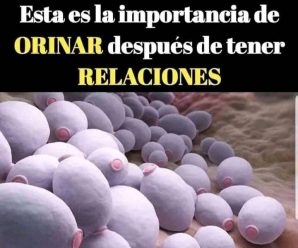 La importancia de orinar luego de tener relaciones.