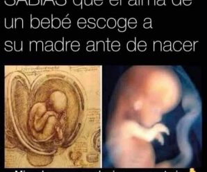 La Maternidad: Un Vínculo Profundo Más Allá del Nacimiento