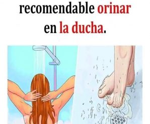 Te contaré lo que pasa si orinas en la ducha.