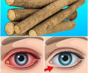 «6 Hierbas Esenciales para Reparar la Visión y Proteger los Ojos de Manera Natural