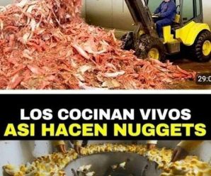 ¡Alimentos que debes de eliminar de tu dieta con urgencia!
