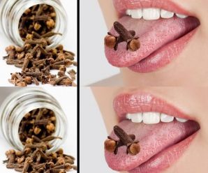 “Clavo Dulce: El Secreto Aromático para una Vida Saludable”