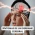 Como salvar la vida de una persona que sufre en derrame cerebral usando solo una aguja.