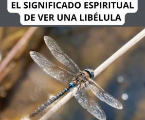 Estos mensajes pueden manifestarse en diferentes aspectos 😱… Ver más