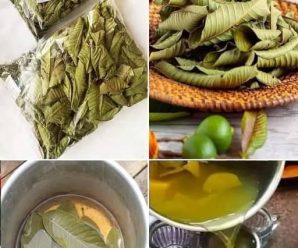 Beneficios de beber té de guayaba y cómo prepararlo