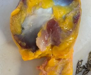 Sabías que si consumes las mollejas de pollo no tienes que tomar…