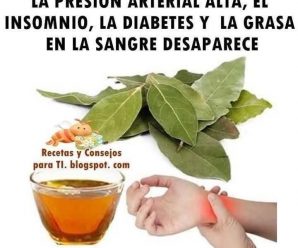 Laurel, ayuda a Combatir la Presión Alta, Azúcar, Grasa en la Sangre y el Insomnio