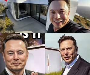 La minicasa Tesla de 10.000 dólares de Elon Musk