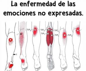 Estos son los síntomas más evidentes de fibromialgia: ¡se sorprenderá al verlos y como cu.rar.la