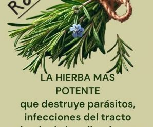 Cómo Preparar Alcohol de Romero para Varices y Celulitis