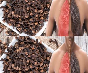 “Cómo Usar los Clavos de Olor para Combatir Infecciones Respiratorias y Bronquitis”