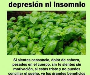 Di adiós a la ansiedad, depresión e insomnio con esta increíble hierba