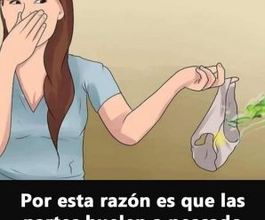¿Por qué se produce el mal olor vaginal?